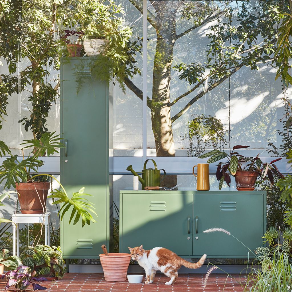 dark olive steel locker studio shot